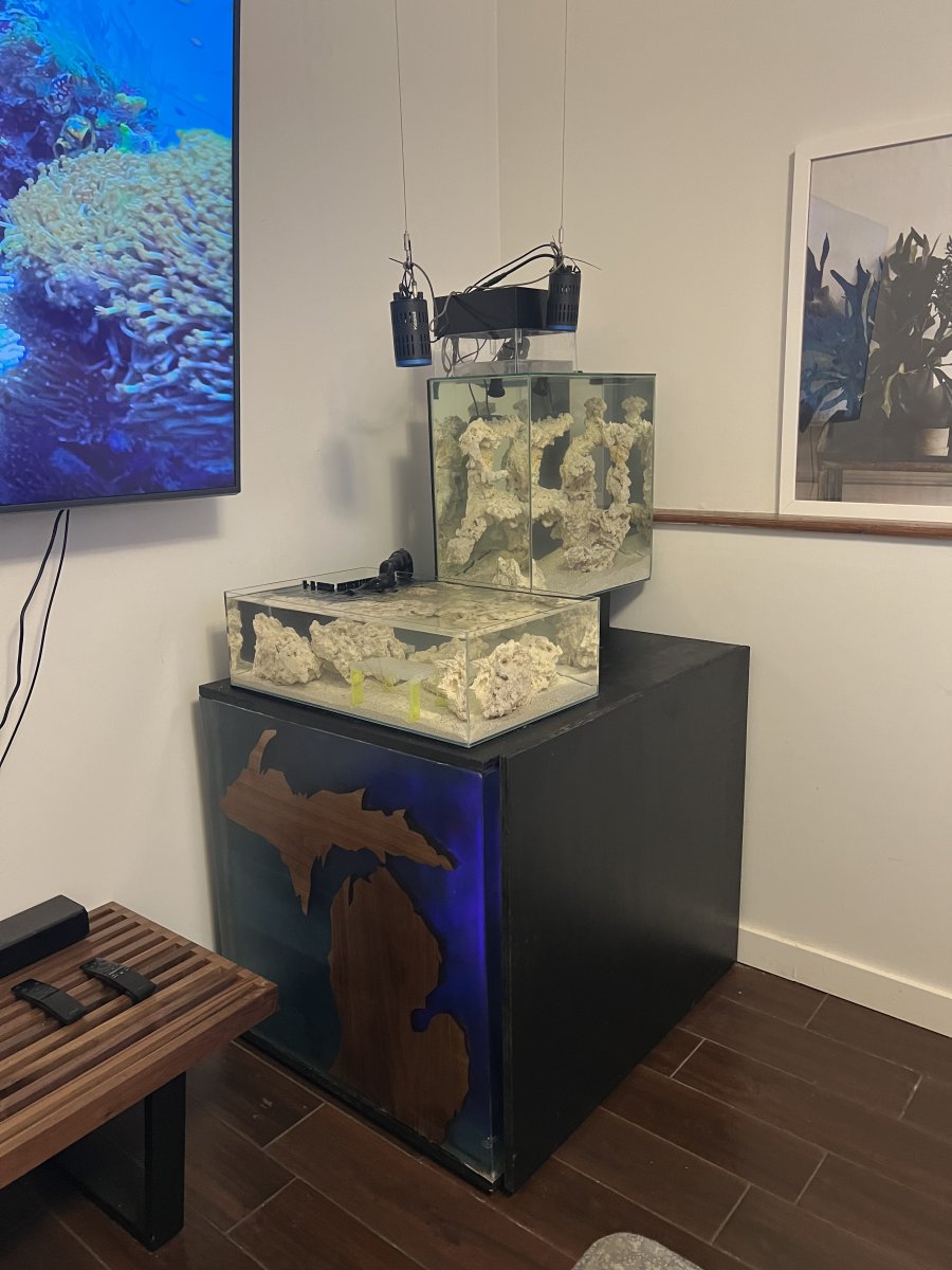 Show off those michigan west coast displays | Reef2Reef