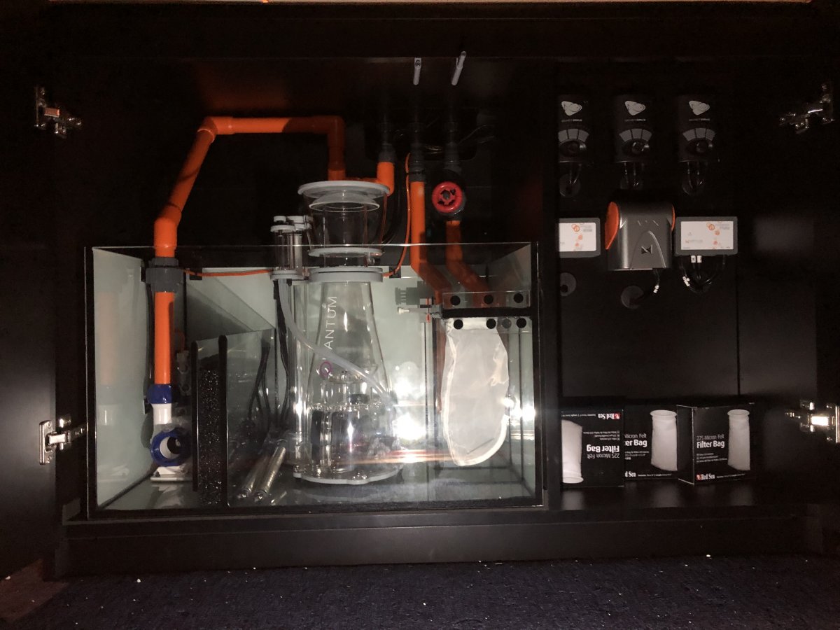 Build Thread - Just add water Red Sea 425 XL / WrasseTasic | Page 5 ...