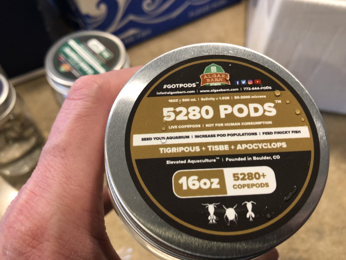8E3107E1-08C2-4EEC-8EF8-A787E1F852AC.jpeg