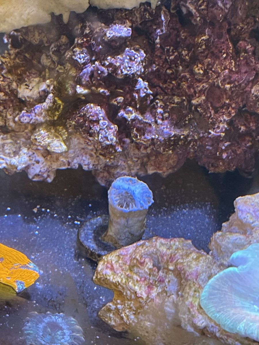 8F08E111-AB6A-4940-93C2-D7B6D09BDC4C.jpeg