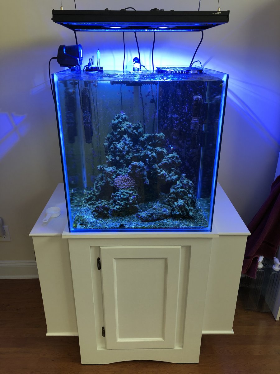Saltwater tanks for clearance sale