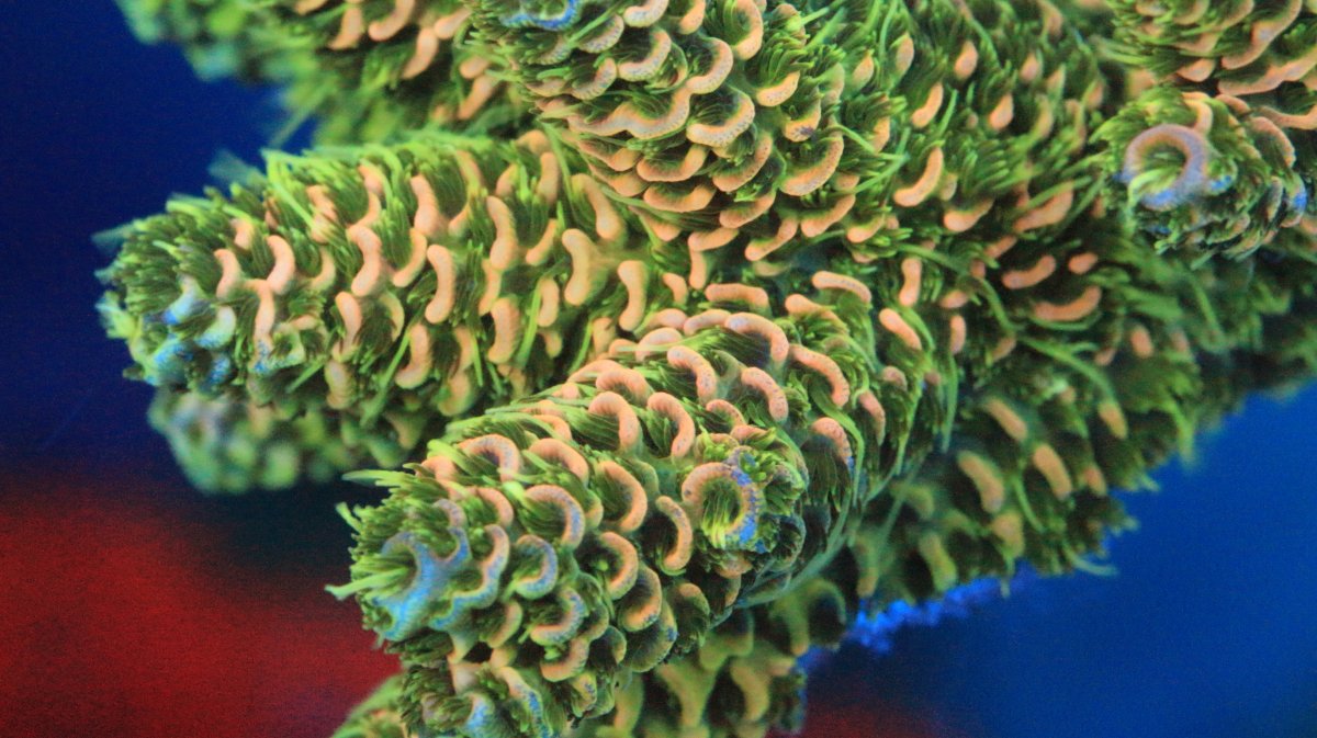 8FD2D25D-08DB-45DC-B242-B3B06661D97D.jpeg