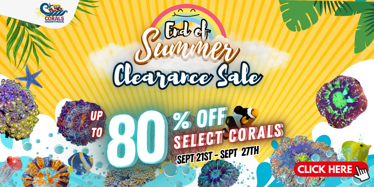 9.21.2023 End of Summer Sale Website Banners.png