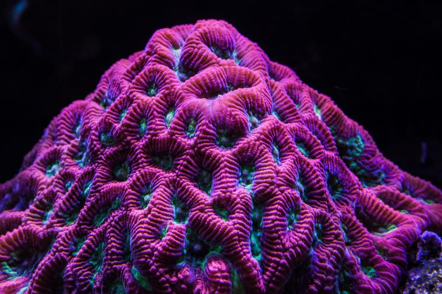 9-5890.jpg
