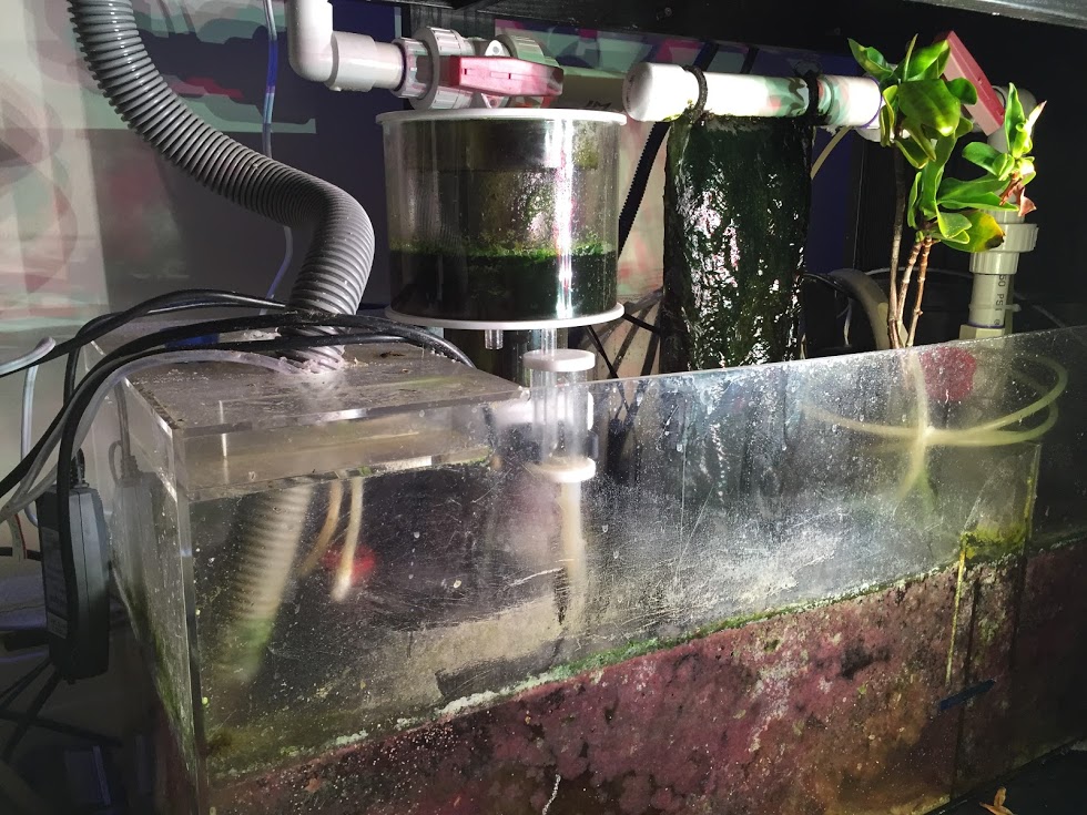 90-Sump.JPG