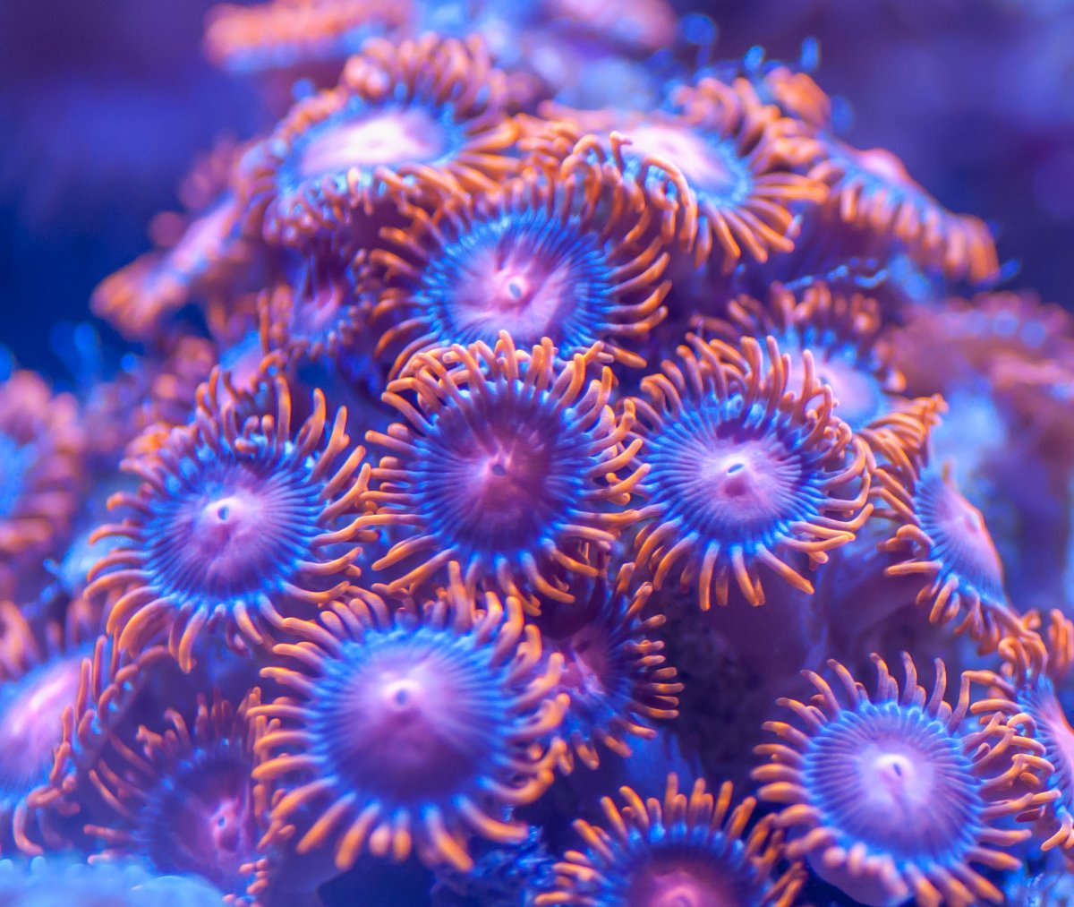 90mmFirstShots-1.jpg