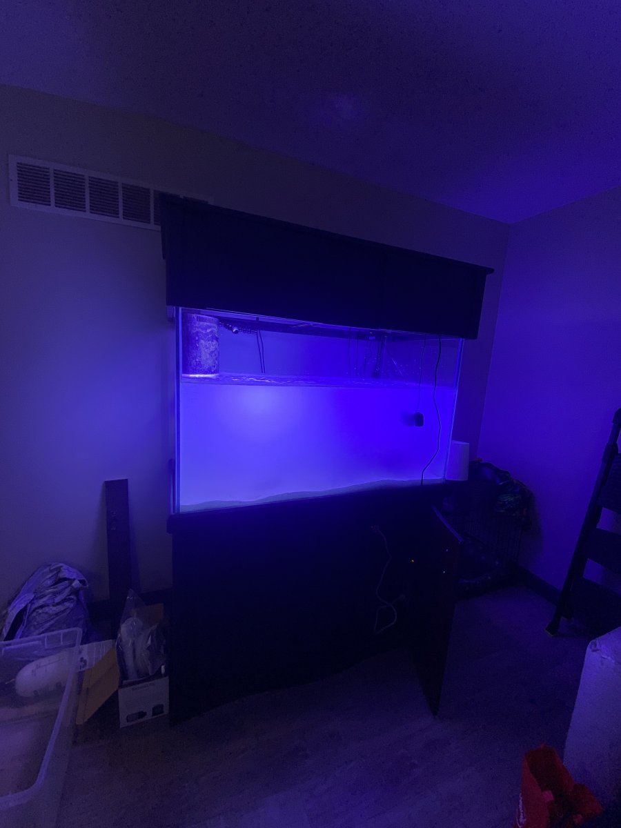 915BE85E-E38F-46F7-A9C3-D293283F07E2.jpeg