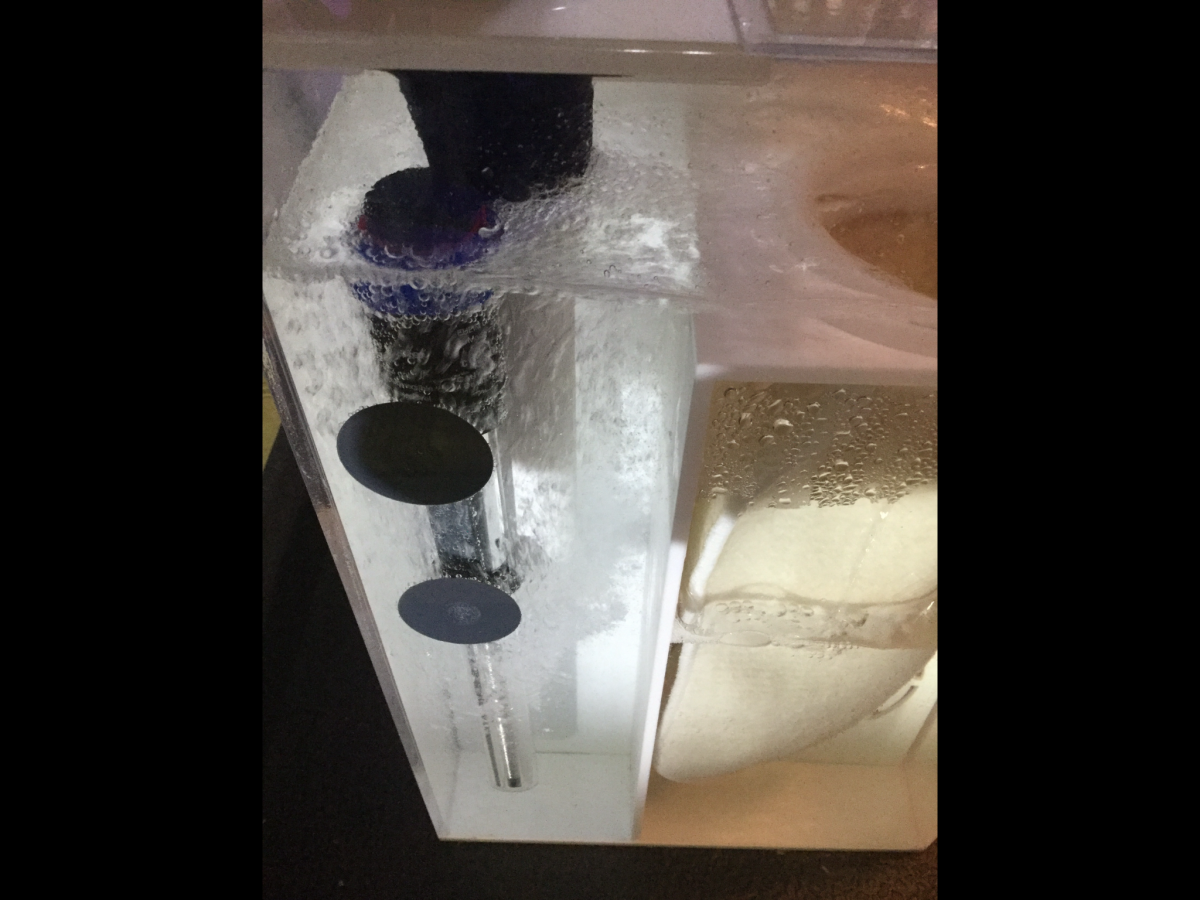 Can I put my heaters in the drain section of my sump? REEF2REEF
