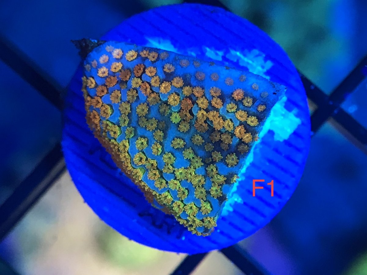 9226E4BB-76D3-454E-B9FD-4FE9E03BA66C.jpeg