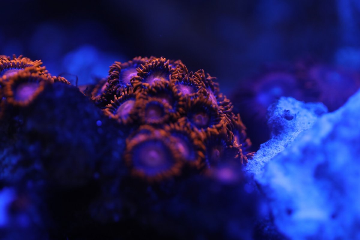 9299B29A-CBB0-49A4-BE98-ED4503876B9F.jpeg