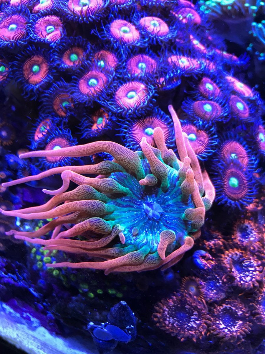 9353CBB8-2DFA-4E7A-A8DE-A03F6E9BFD14.jpeg