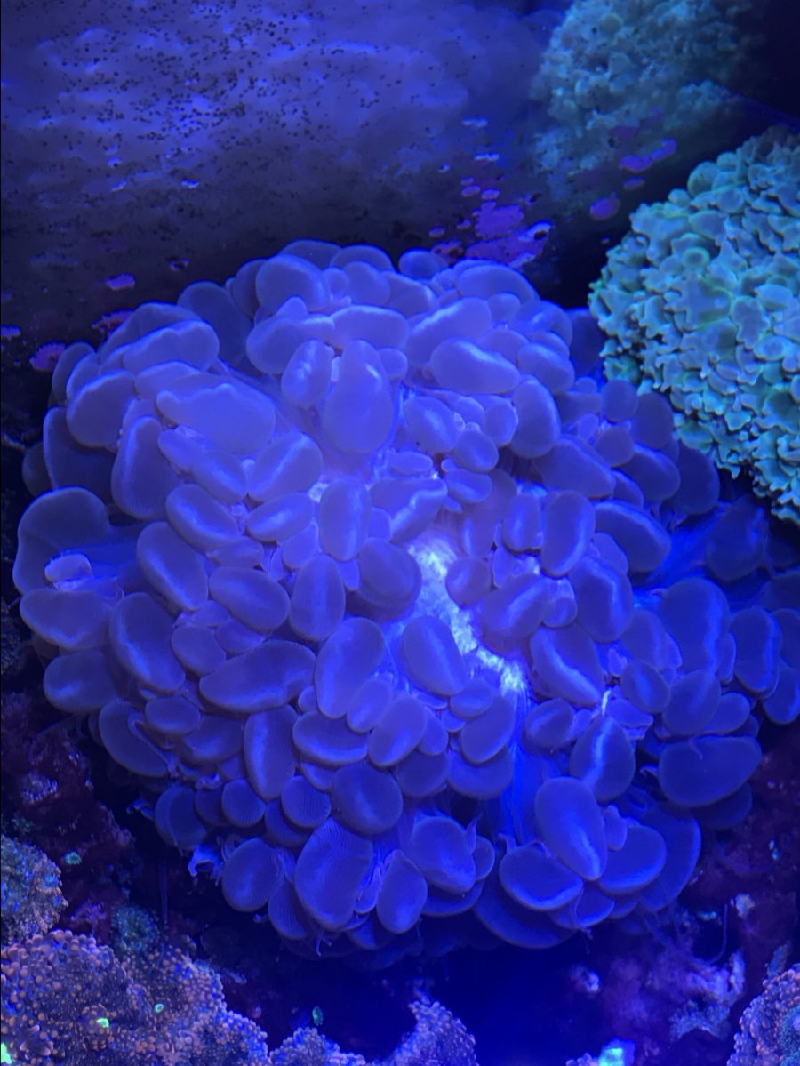 93F36243-C1C2-4E22-B00A-1D0B28401126.jpeg