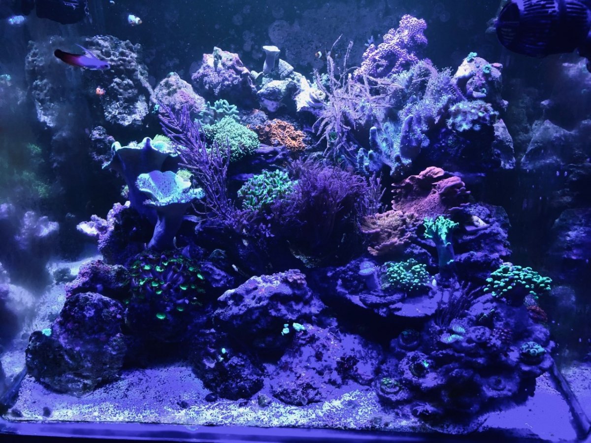 93new4.jpg