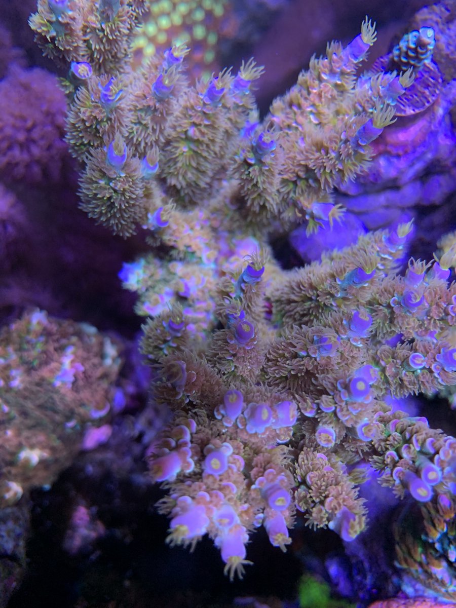94706EC7-2E99-4EC8-B3C7-1BEFECC5DE79.jpeg