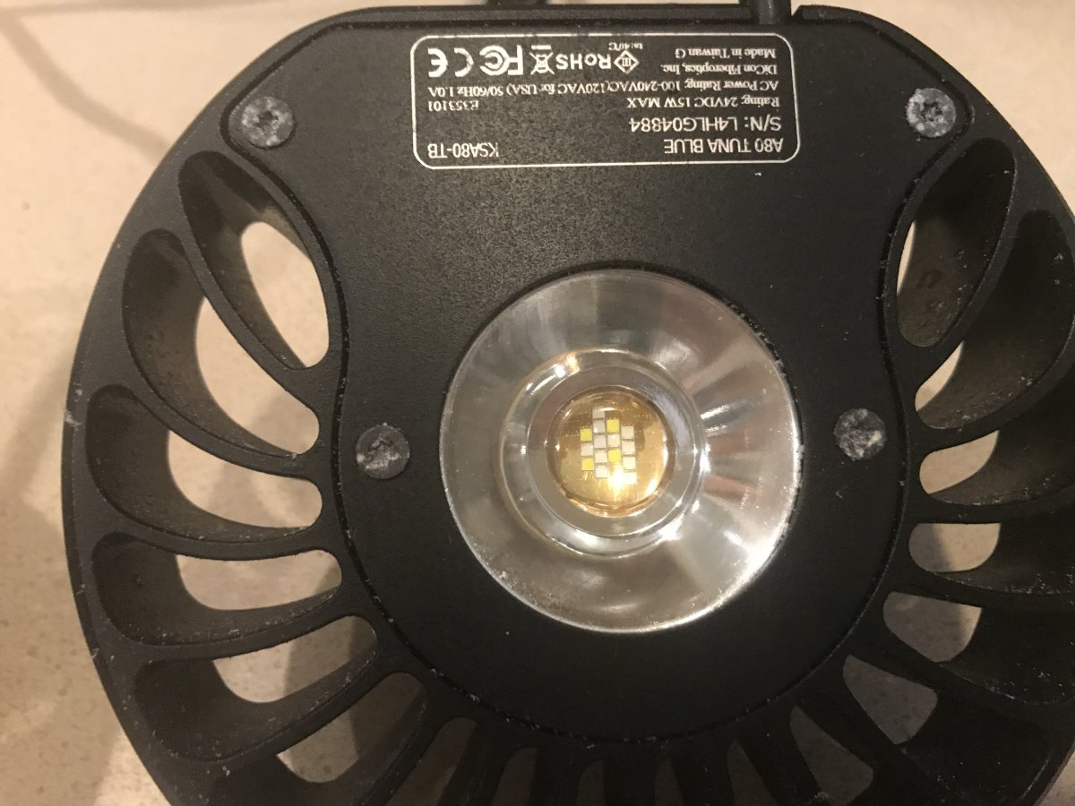 968FC155-E4F2-41BB-8752-CD0D609F0D04.jpeg