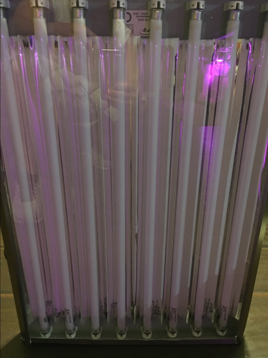 Nevada - ATI Sunpower 24x8 T5 unit | Reef2Reef
