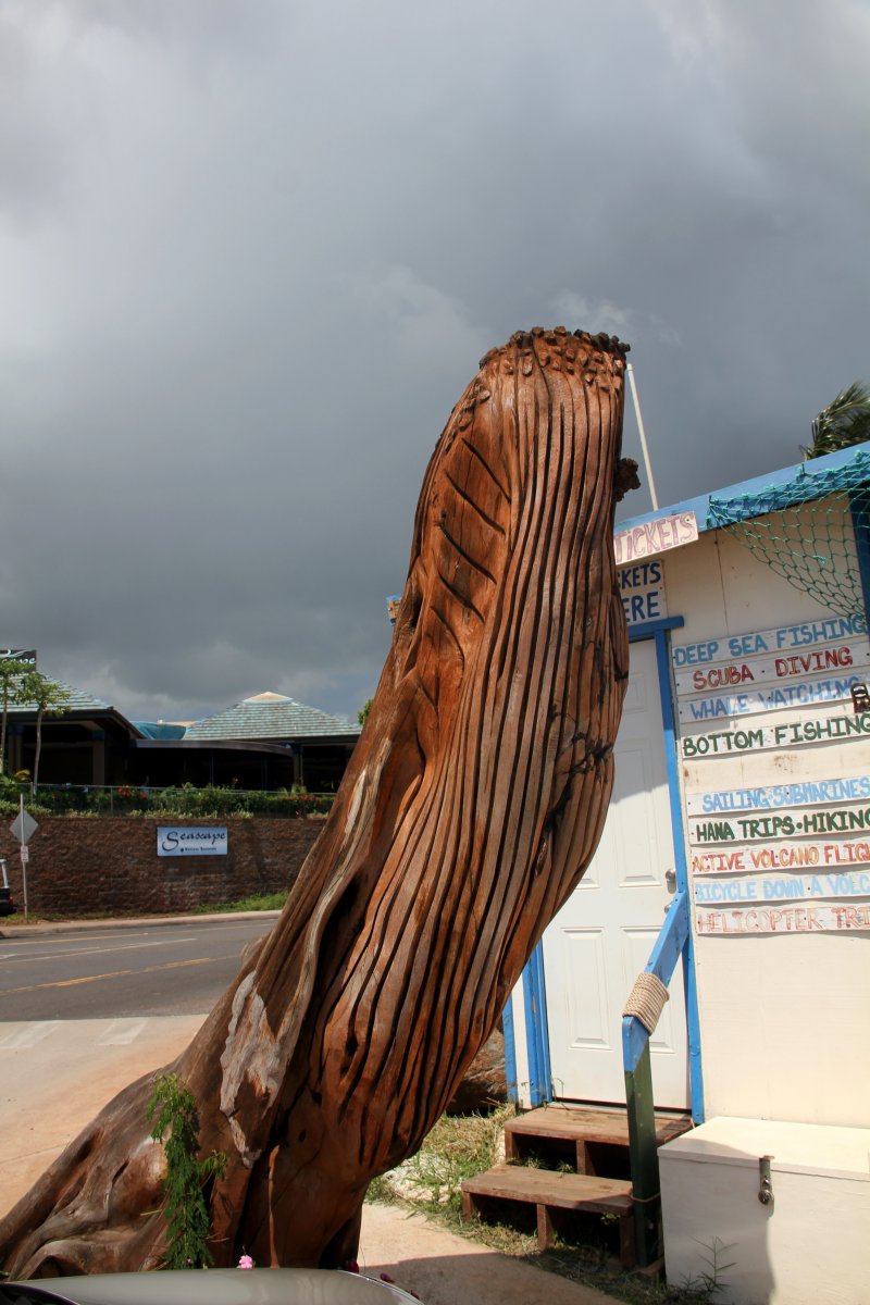98.JPG