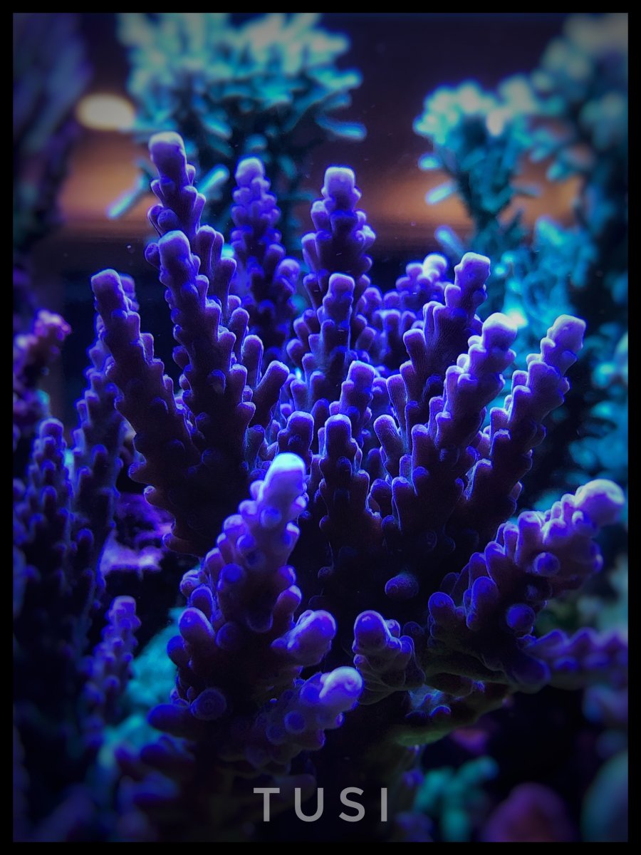9A4E6066-D94D-48AE-A166-194B9E693295.jpeg