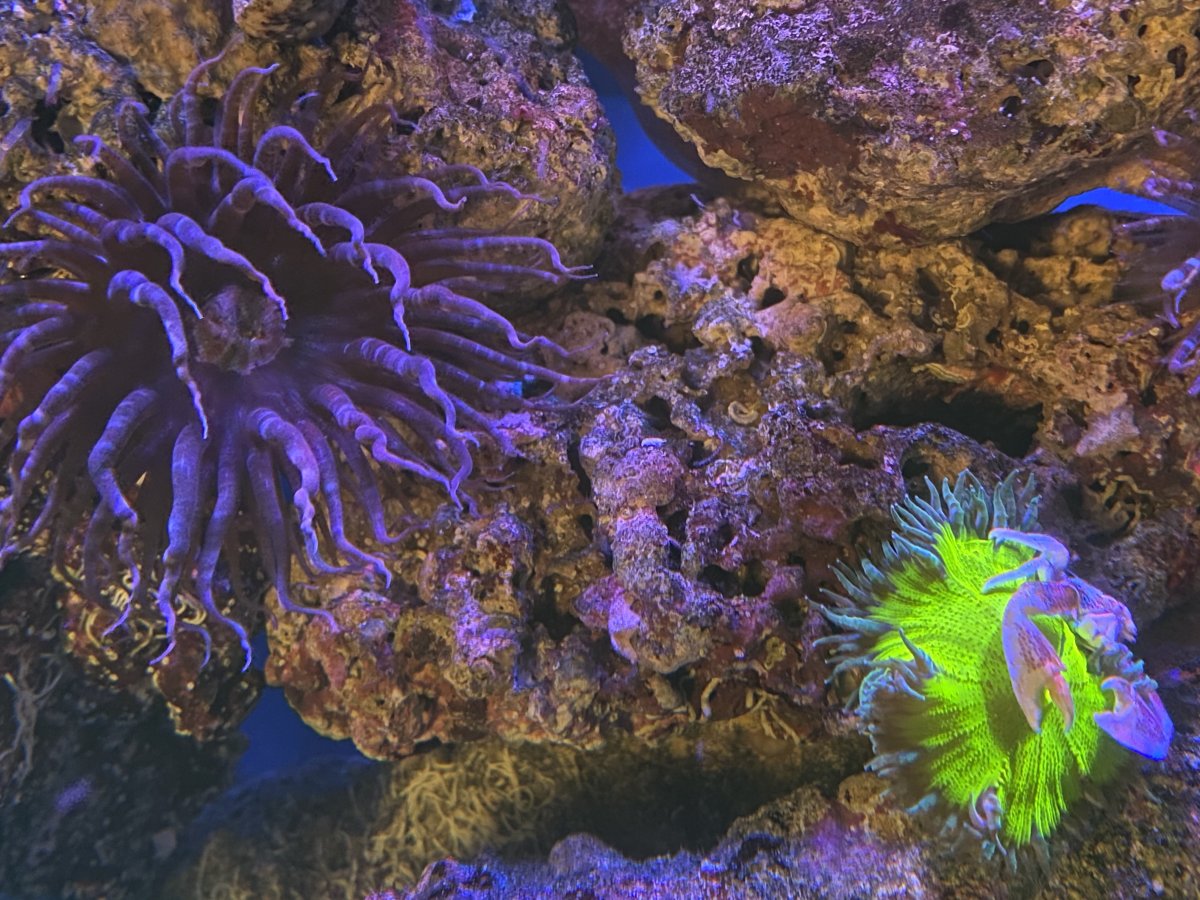 9AB49EEA-D608-428C-B00F-D56825D00538.jpeg