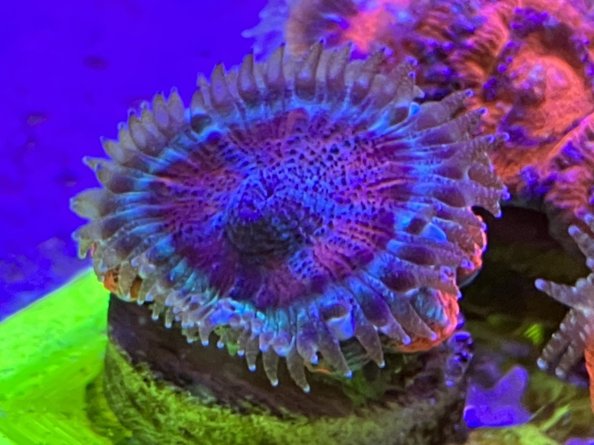9B17798D-8513-4E0D-AD6B-D52CED2F34F0.jpeg