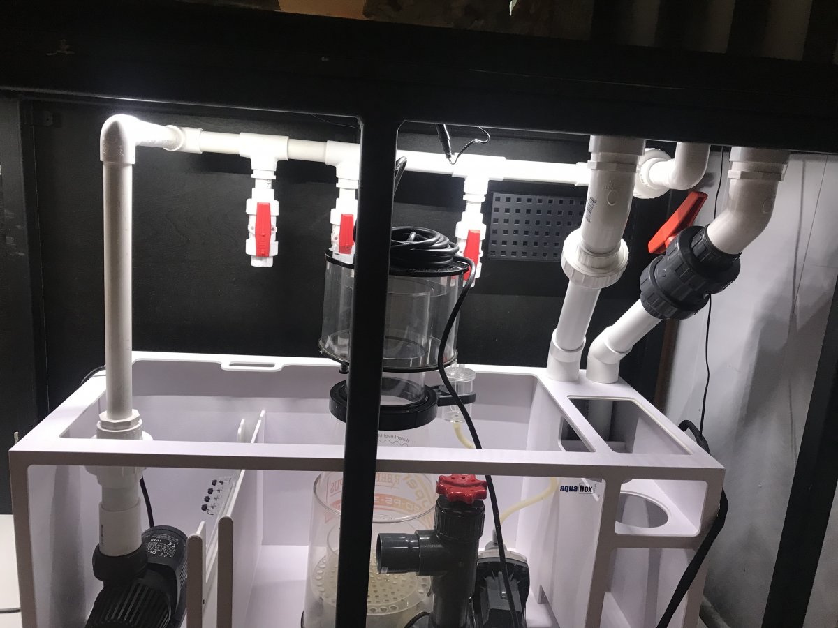 Build Thread - Lost in a Reef’s 200+ gal budget build! | Page 6 ...
