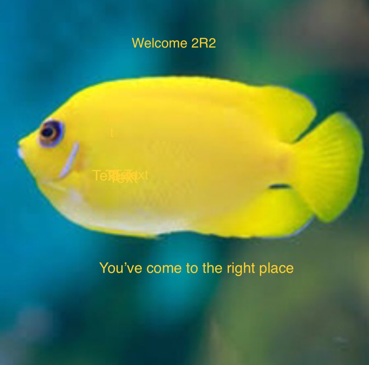 9BBA0D12-DFE4-4F2D-985B-C5034ABAA90E.jpeg