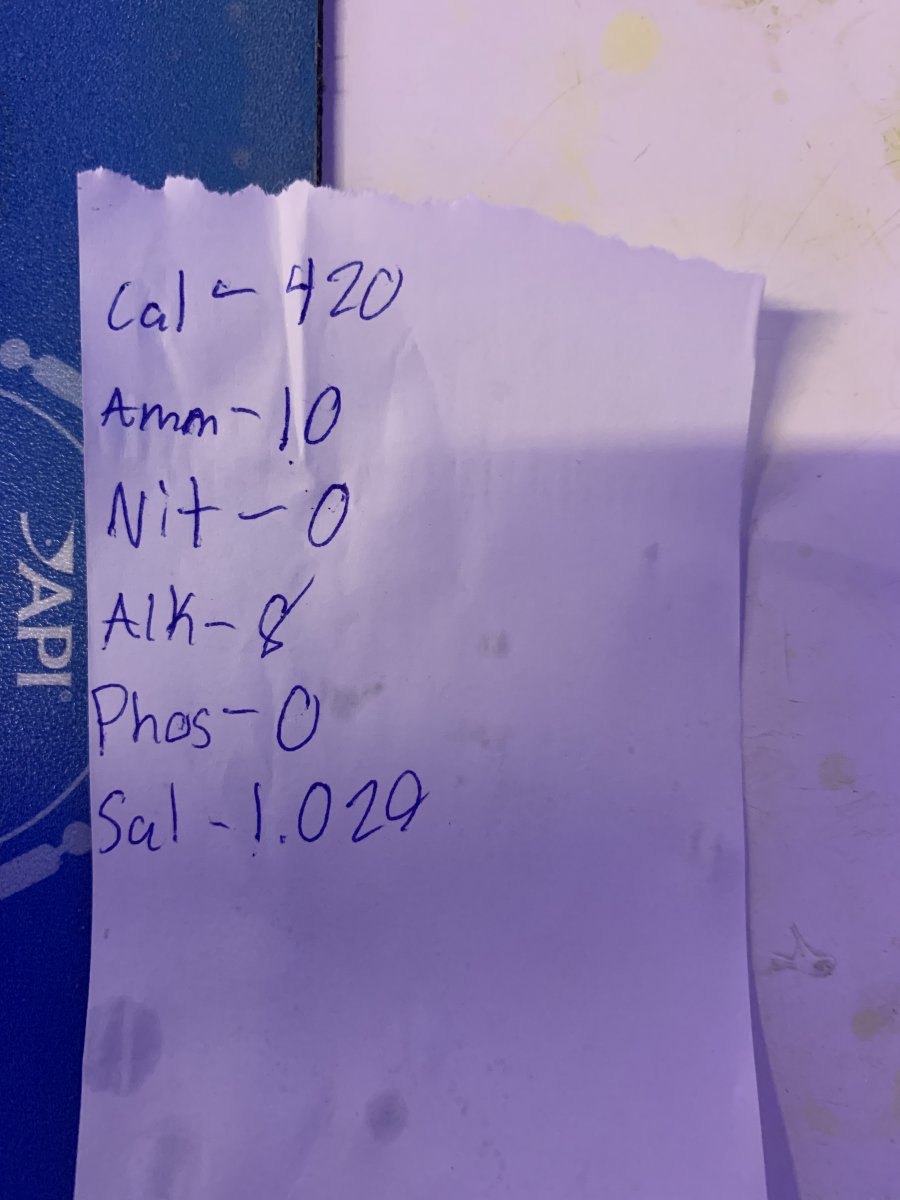 9BEDA83C-0C5D-42D1-9AF3-170513BACCB7.jpeg