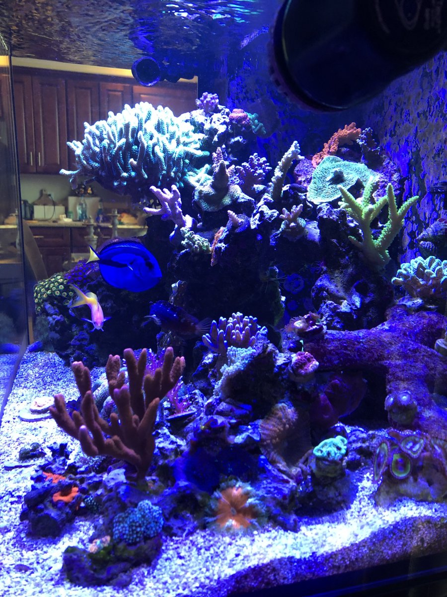 9C0F5E5D-B43B-4DE5-AC10-E702D0E503F9.jpeg