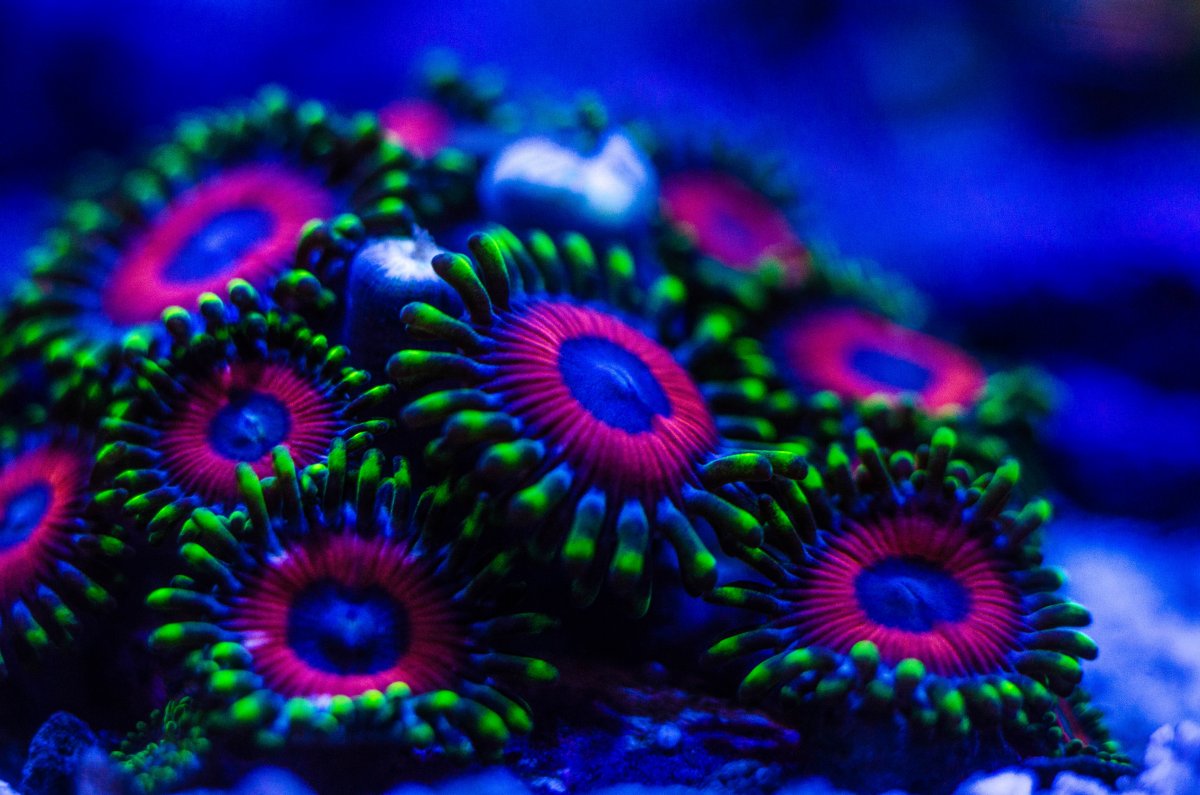 9C5020EF-DDBF-4E87-A3CA-9B23FC662AEB.jpeg