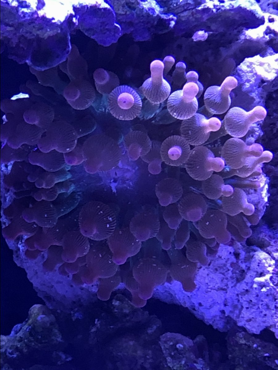 9C7896E0-E075-40CC-AE29-62DE7EA44871.jpeg