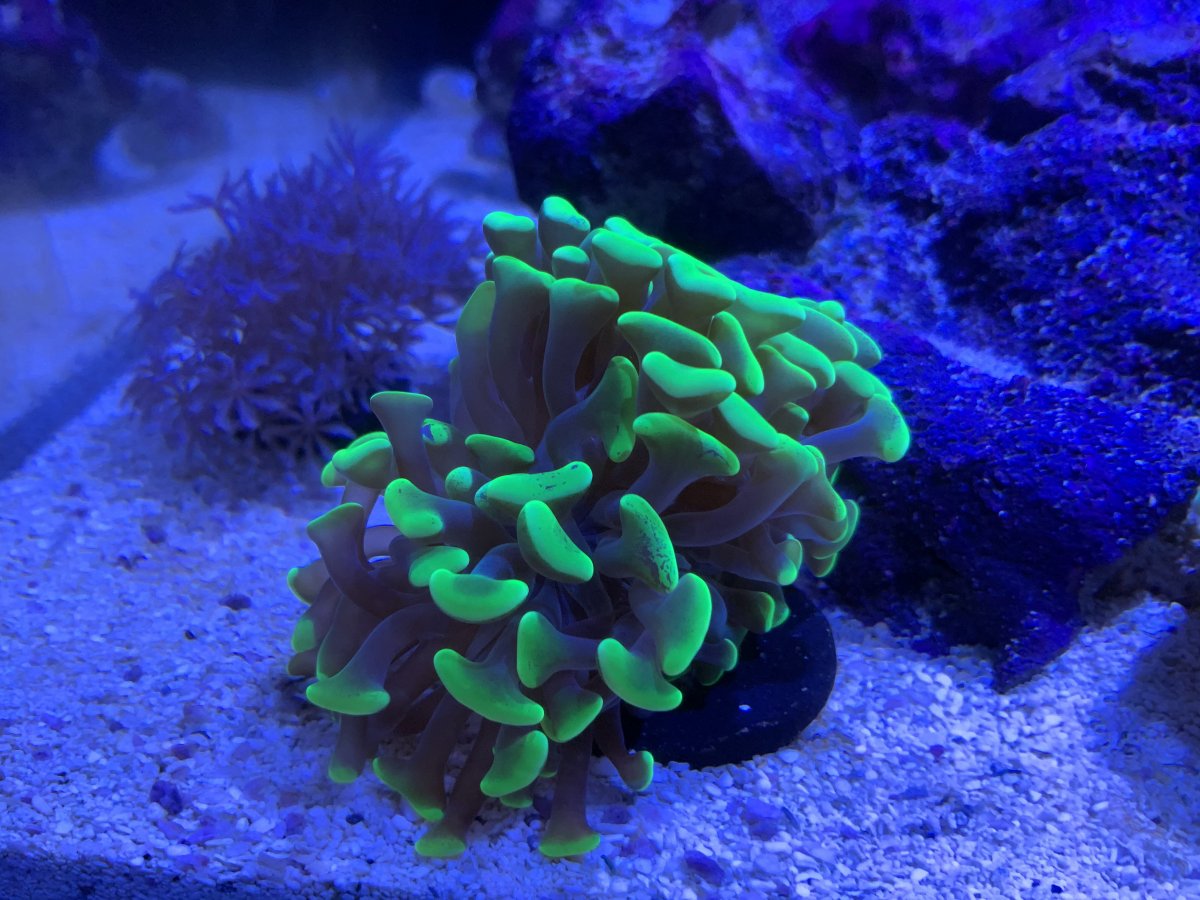 9CB078DC-26C6-4159-AEBD-8BBD233DCBDC.jpeg