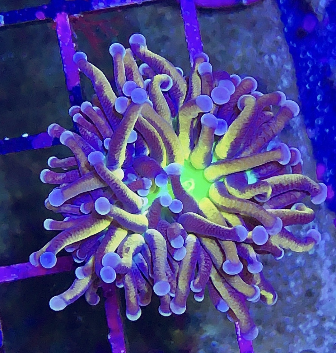 9CF76961-A8A5-4DE0-8D32-57F2E53CA0F8.jpeg