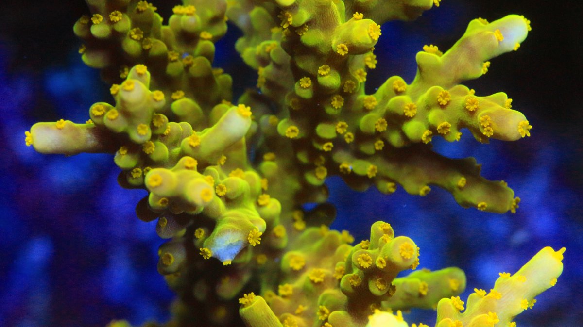 9D712BAF-1936-4D92-A240-5080B6D238C7.jpeg