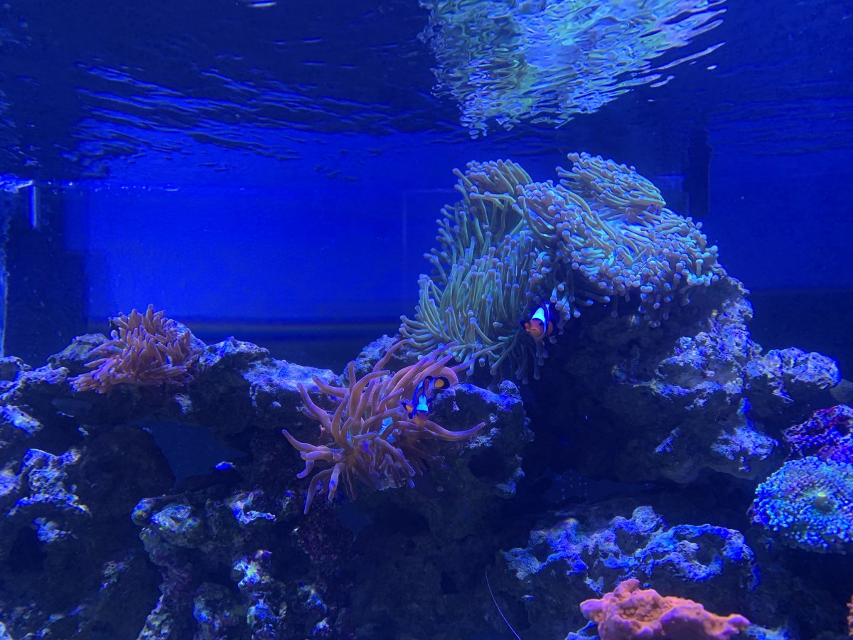 9D878E01-FA93-400E-90F8-632D0475433F.jpeg