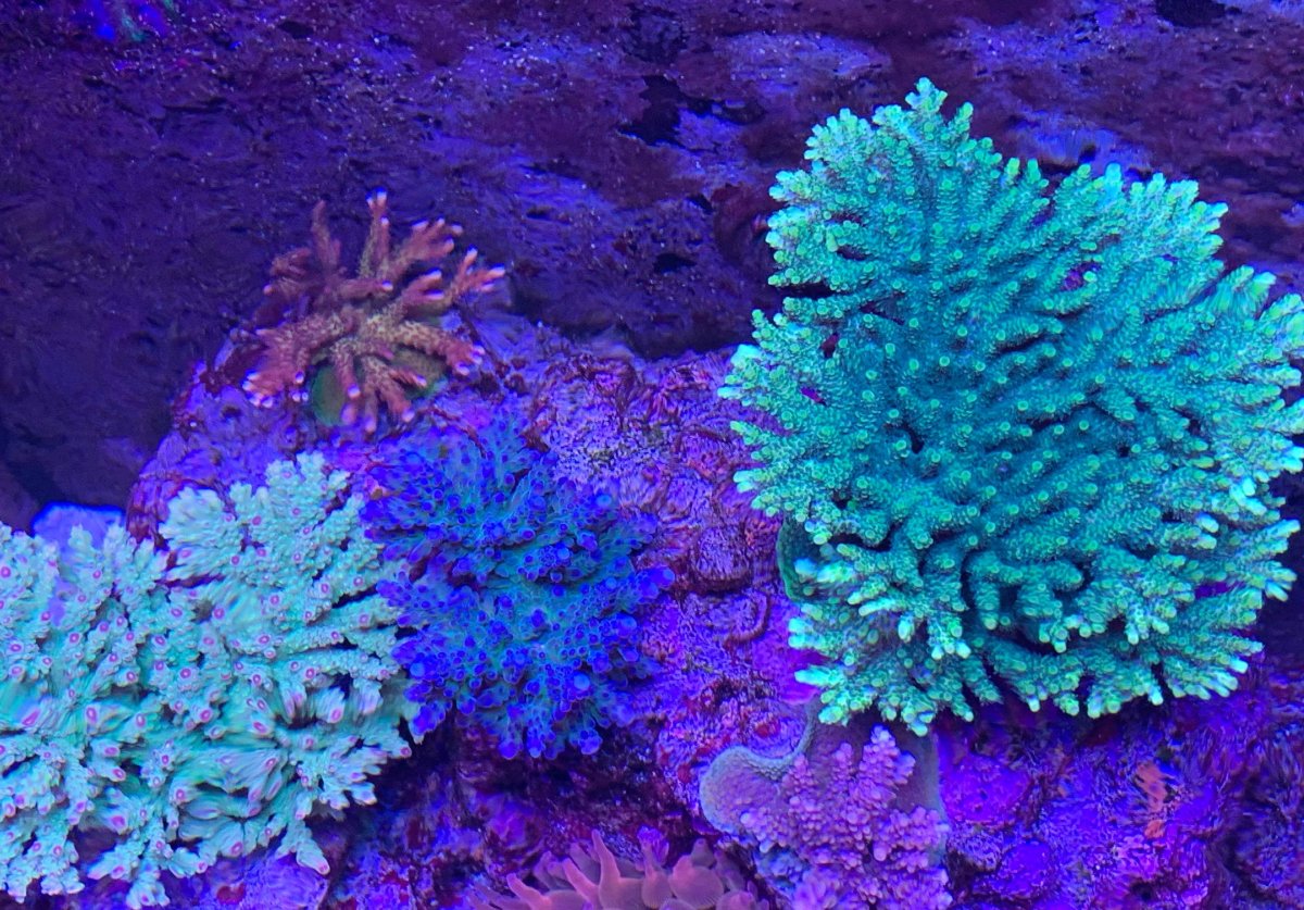 9E21CD79-4AE0-4621-A751-B3990AE6E2C8.jpeg
