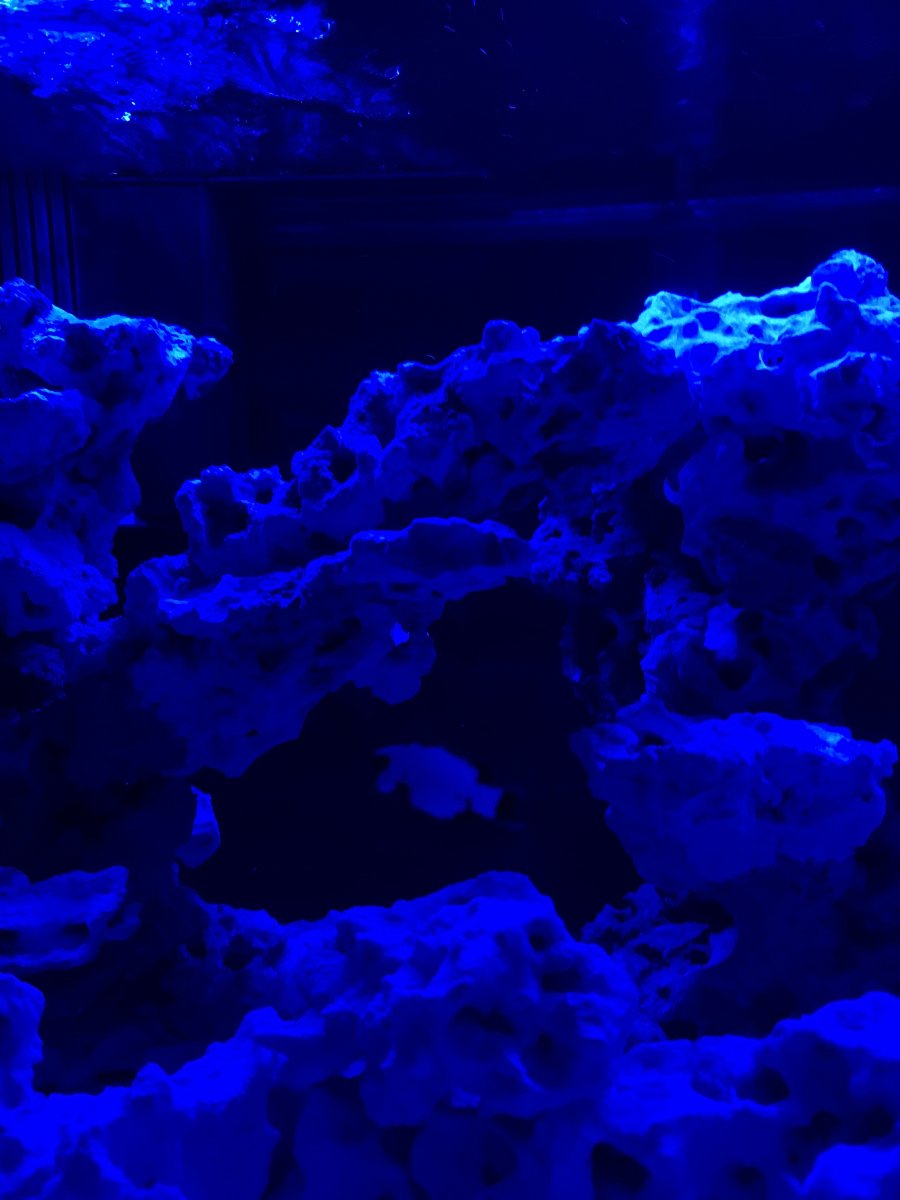 9F1E5F49-9F45-4616-B0AA-C49A45B3CC46.jpeg