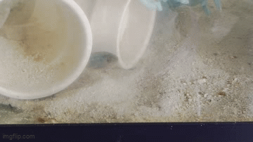 9spbkz.gif