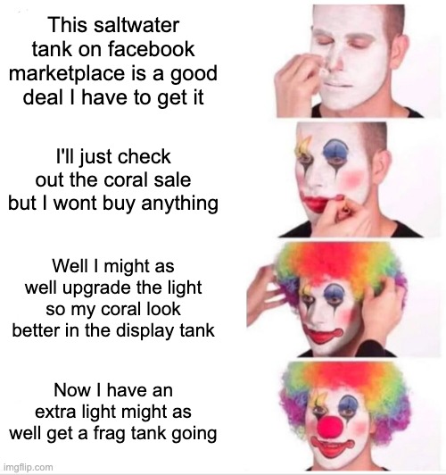 9zhf3v.jpg