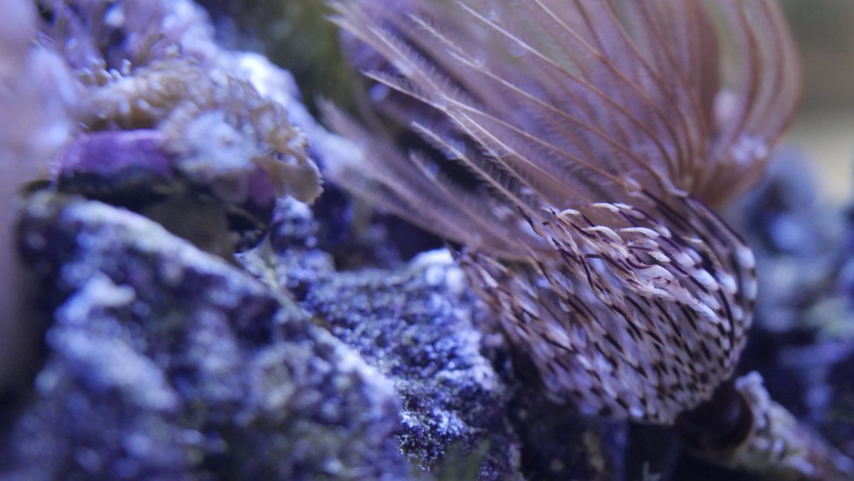 _1040123.JPG