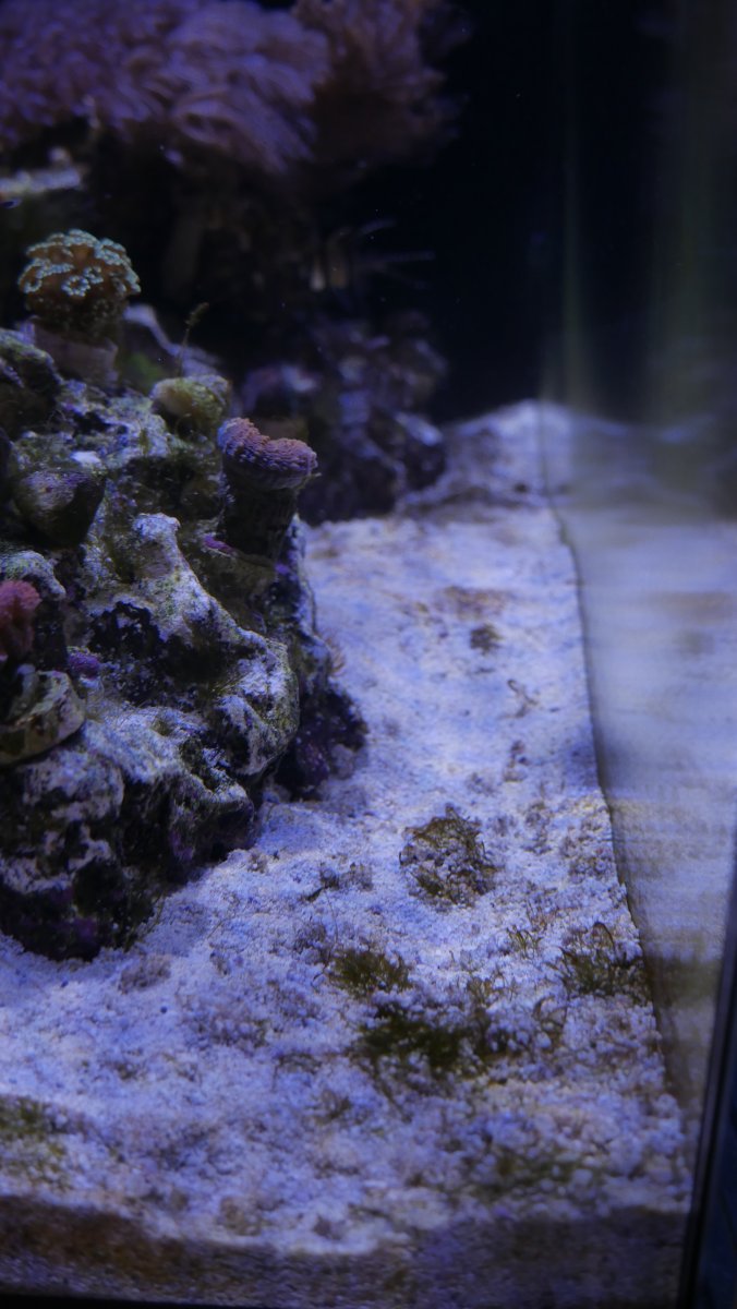 _1040170.JPG