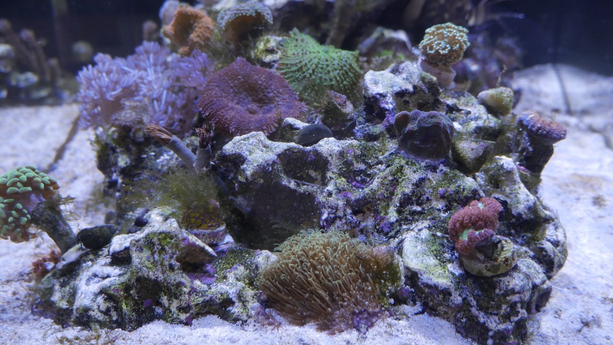 _1040171.JPG