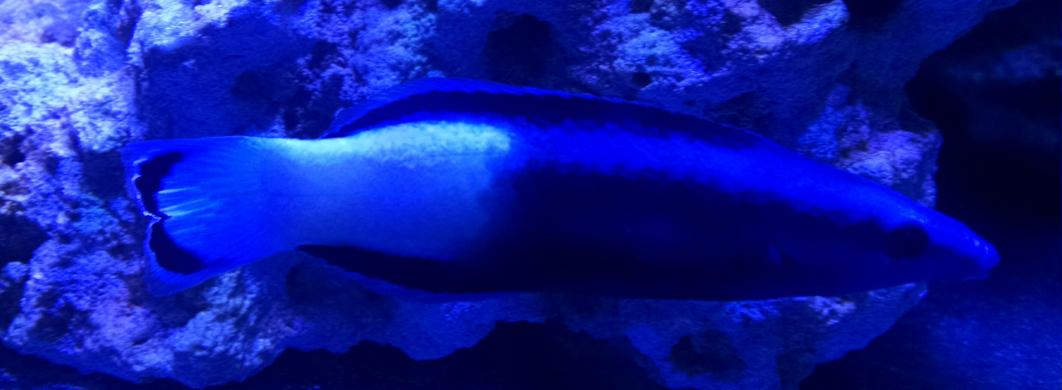 _20150718_204342.JPG