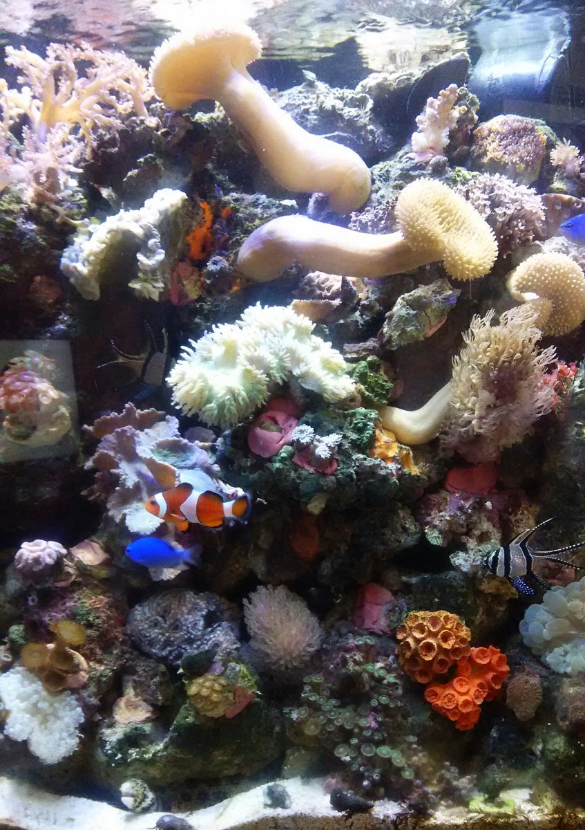 _20150828_140033.JPG