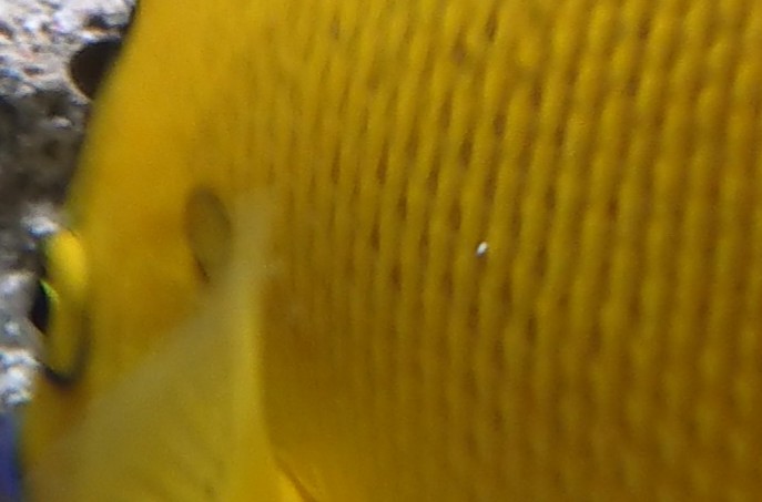 _20181208_092907.JPG