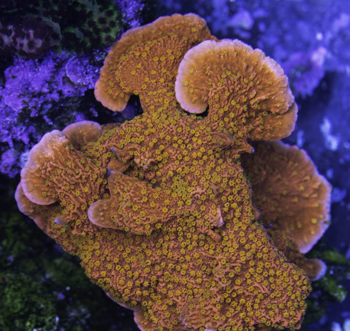 _25A7723.jpg