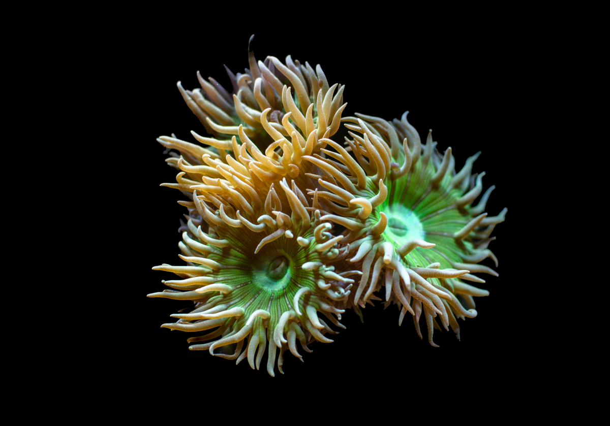 _DSC0023.png