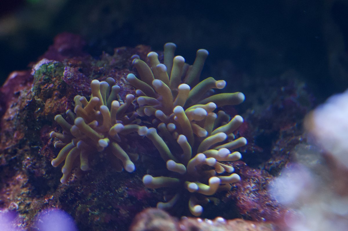 _DSC0025.jpeg