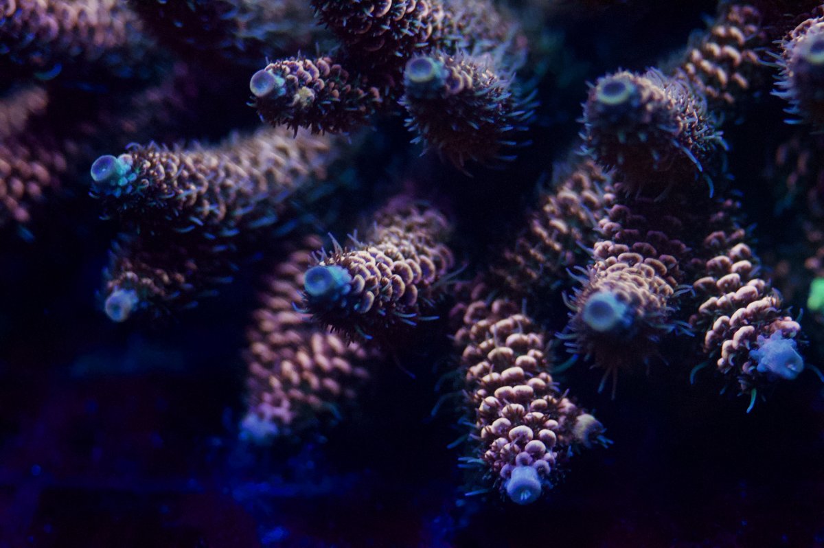 _DSC0030.jpeg