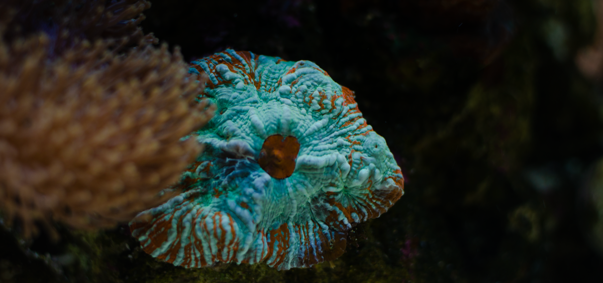 _DSC0030.png