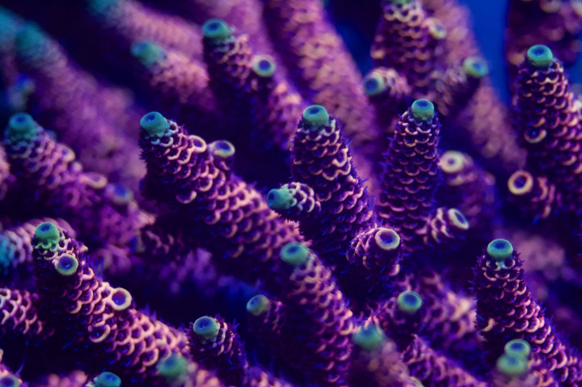 _DSC0039.jpeg